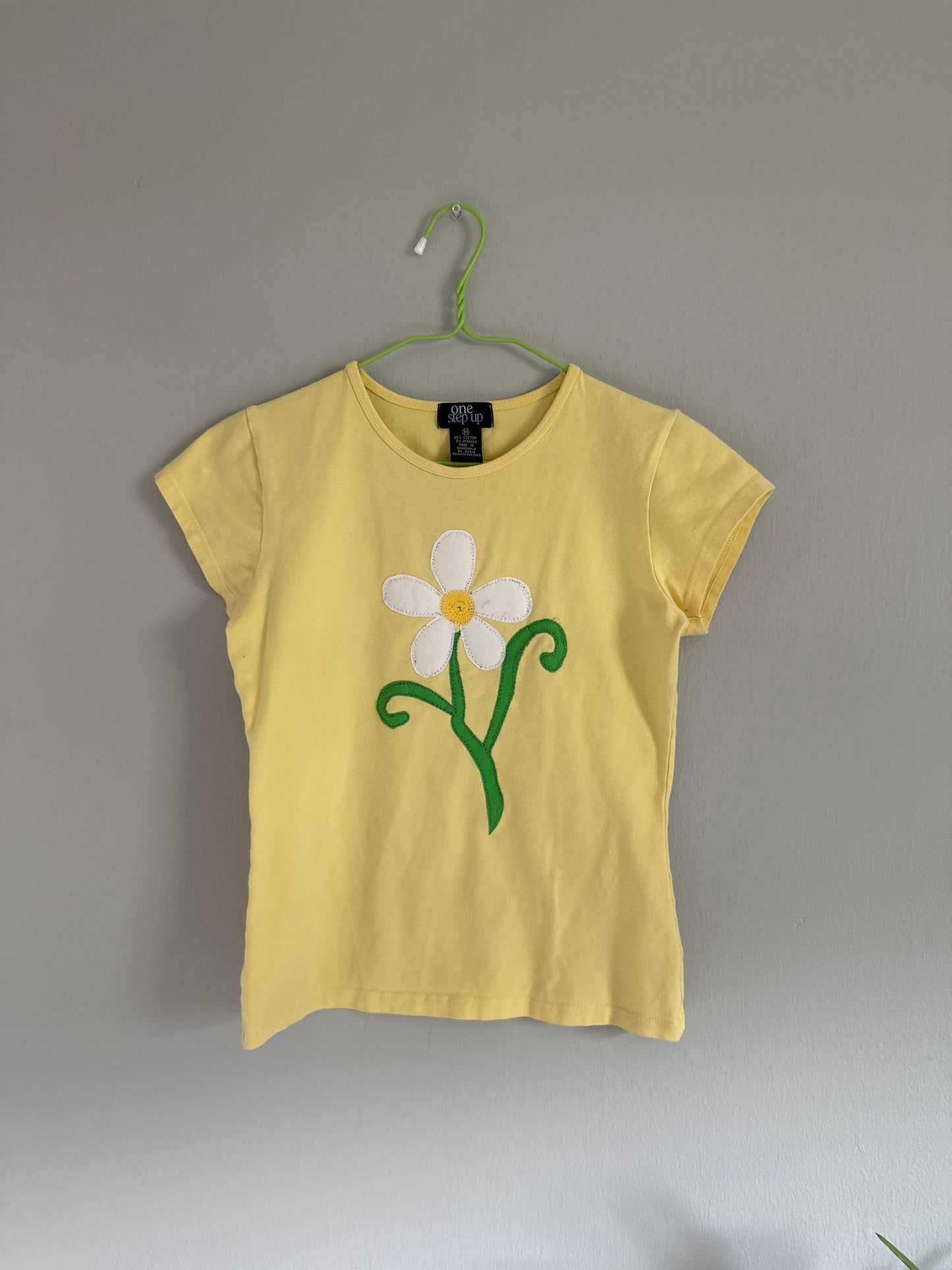 Daisy Chain Baby Tee (Small)